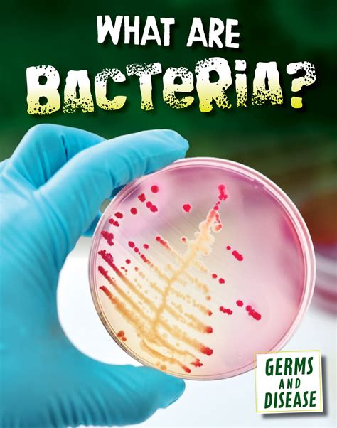 Buy What Are Bacteria? (Germs and Disease) Book Online at Low Prices in ...