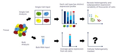 NGS vs Microarray 的图像结果