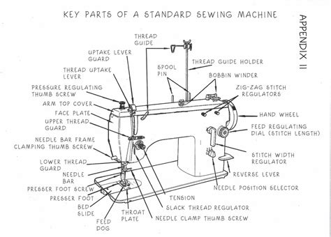sewing machine parts Diagram | Quizlet