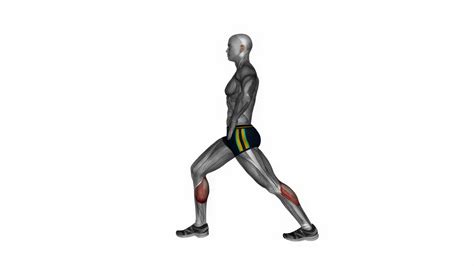 Lunging straight leg calf stretch fitness exercise workout animation video male muscle highlight ...