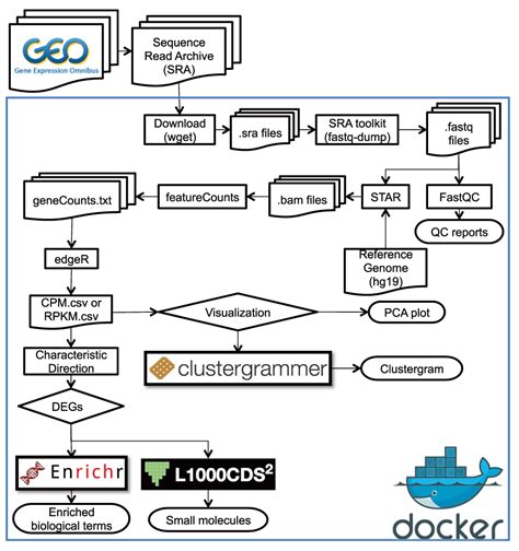 RNA Sequencing Method 的图像结果
