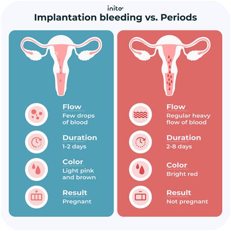 Vaginal Discharge During Ovulation
