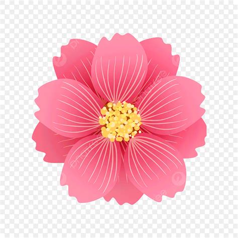Light Pink Flower Clip Art Beautiful Soft Pink Flower PNG Transparent