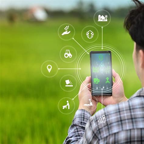 Agrich - Sustainable farming companies for potato and onion