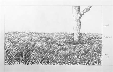 Image result for Drawing Grass Tutorial