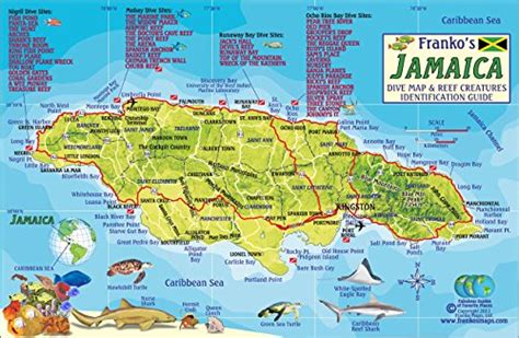 Buy Jamaica Dive & Coral Reef Creatures Guide Franko s Laminated Fish ...