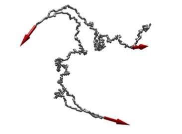 Sayantan Dutta | Chemical Engineering