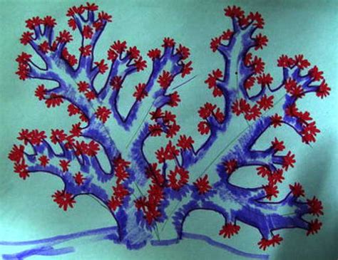 Image result for Coral Reef Drawing Simple