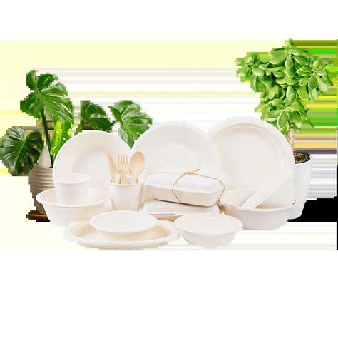 CANEWARE | nature safe, compostable, sustainable, biodegradable