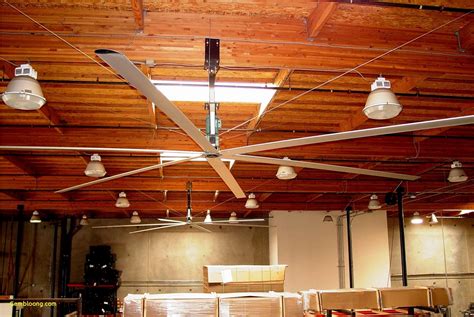 Different Belt Driven Ceiling Fan And Other Styles — Randolph Indoor ...
