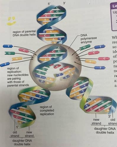 Image result for Bio Chapter 4 Quiz
