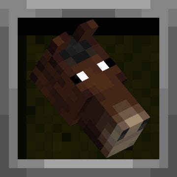 Image result for Fix Eye Minecraft