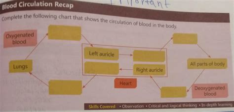Complete this chart - Brainly.in