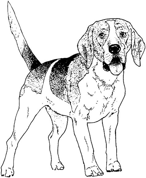 Free Printable Dog Coloring Pages