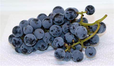 Free Images : grape, fruit, berry, food, produce, blueberry, eat ...