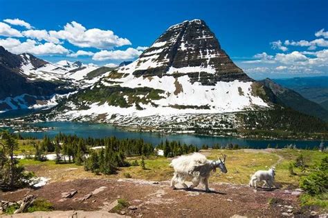 Glacier National Park: Here's All The Information For A 2025 Trip