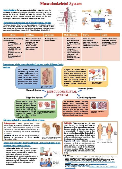 Image result for Introduction to Musculoskeletal System
