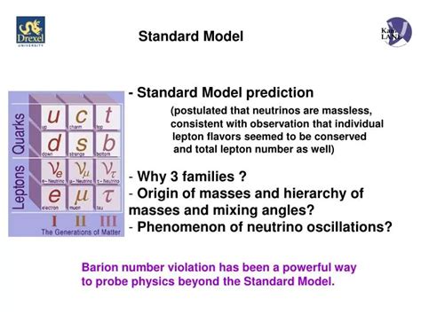 Image result for Standard Model Problems and Solutions