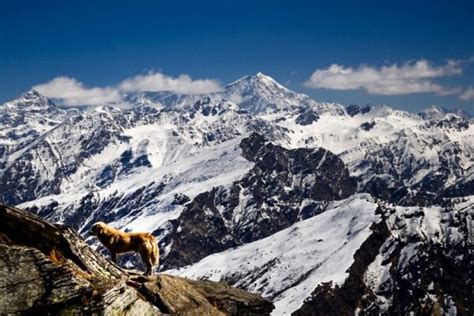 Kedarkantha Trek Package - 2025 | Book Online @ 25% Off TrailHikers®