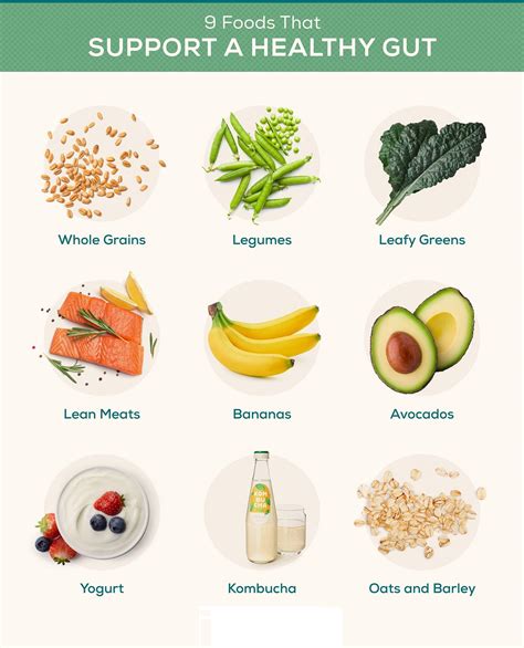 Best Foods for Gut Health. On the off chance that you’ve at any… | by The Expert Knowledge | Medium