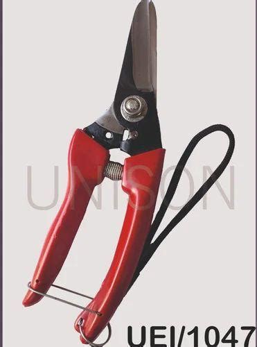 Pruning Secateur (sunny)01047