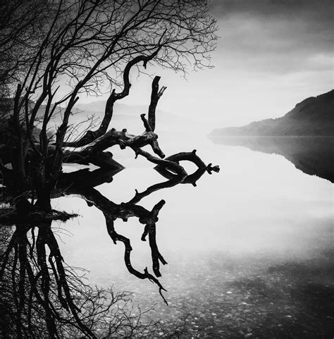 Obfuscation Song 的图像结果