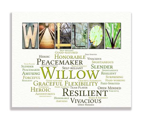 Willow Name Meaning
