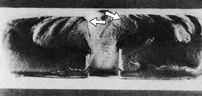 Image result for Spring Trap Failure