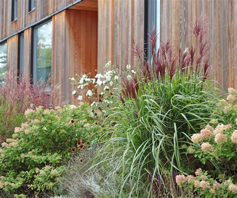 Landscaping with ornamental grasses – 6 inspirational ideas | Homes and ...