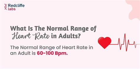 Image result for Heart rate Normal Range