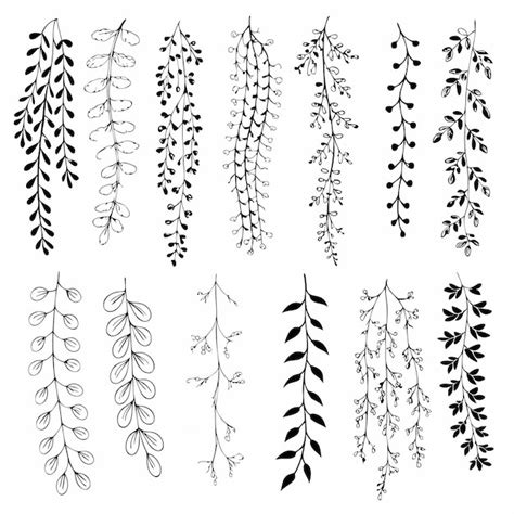 Vector | Premium Vector