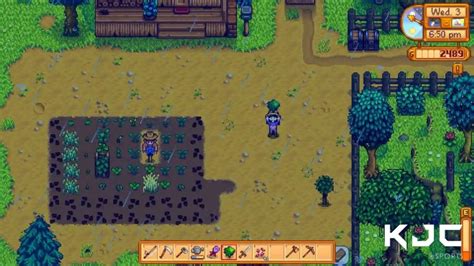 Moss Seeds in Stardew Valley: How to Get Them - KJC eSports