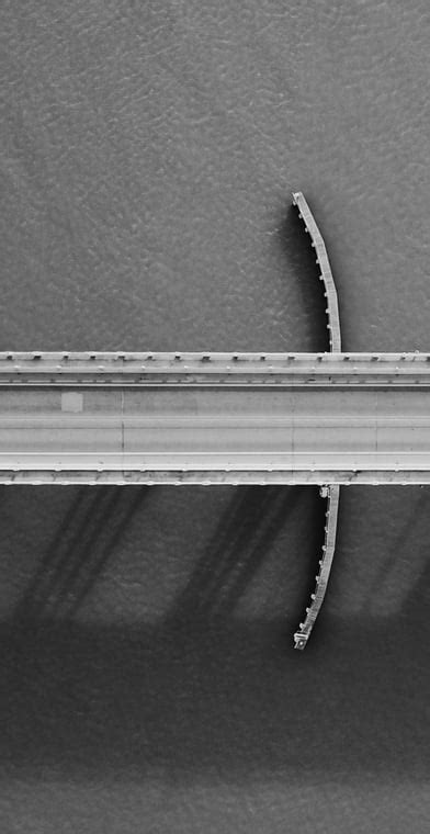 Skill Up Nation | Leadership Development, Professional Training ...