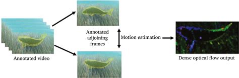 Deep Learning Model Animal Behvaior 的图像结果