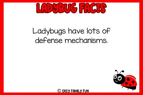 Interesting Facts about Ladybugs [Free Fact Cards] - Easy Family Fun ...