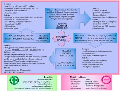 Salivary Redox Homeostasis in Human Health and Disease