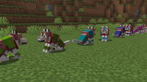 Image result for Minecraft Wolf Armor Update