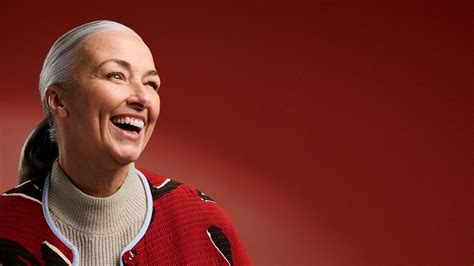 Image result for Signia App Icon