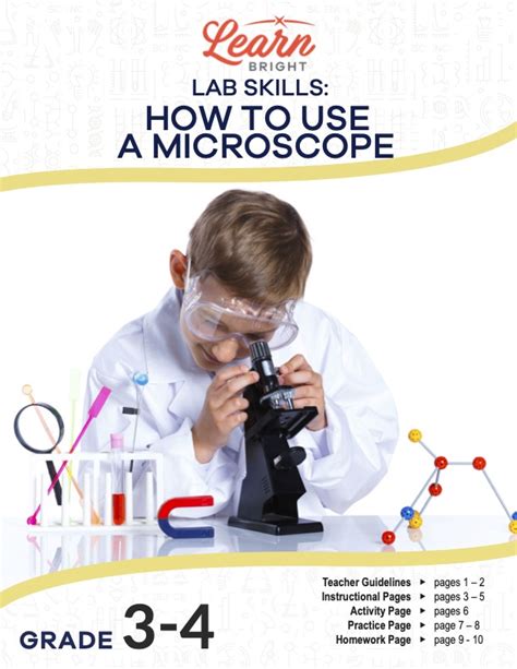 Image result for Step by Step How to Use a Microscope