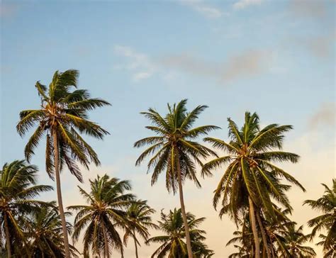 Extreme Weather 的图像结果