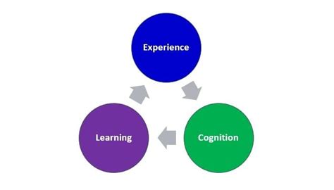 Image result for Learning Process Theory