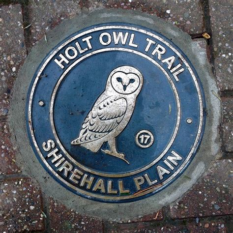 HOLT OWL TRAIL (2025) All You Need to Know BEFORE You Go (with Photos ...