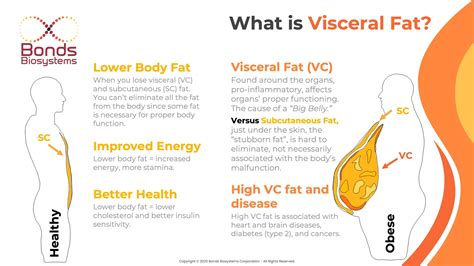 Did you know? Visceral Fat