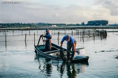 黑山的养鱼场科托尔湾的养殖场和养鱼场高清图片下载-正版图片502880013-摄图网