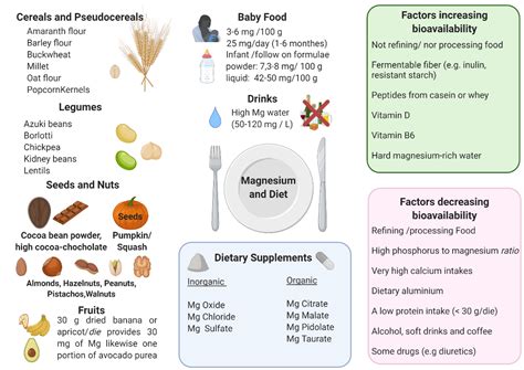 Magnesium: Biochemistry, Nutrition, Detection, and Social Impact of ...