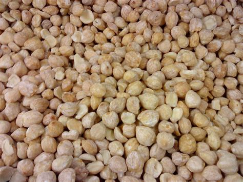 buah keras dalam masakan