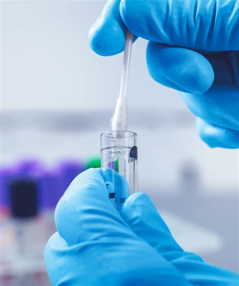 Genome Testing 的图像结果