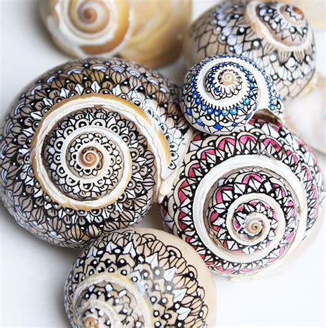 Image result for Painted Sea Shells