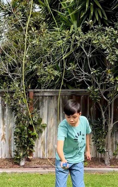 Image result for Zipstring Art