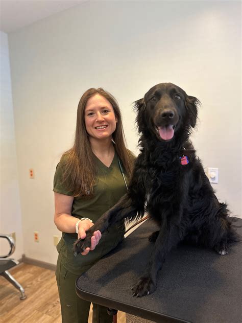 Welcome to Otsego Lake Veterinary Clinic - Otsego Lake Veterinary Clinic